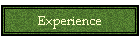 Experience